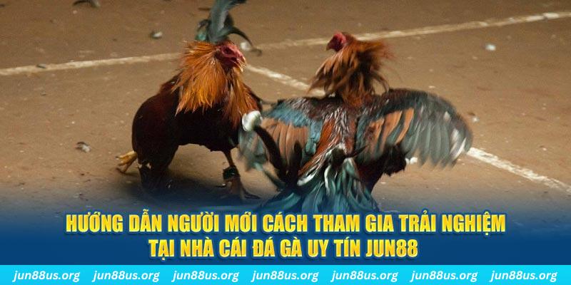 f8bet25 loi game dot kich ket noi may chu that bai