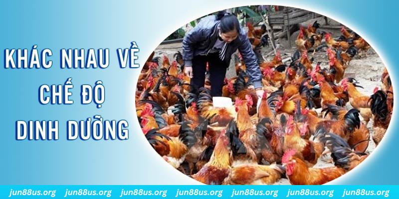 f8bet25 xổ số miền nam thứ năm hàng tuần