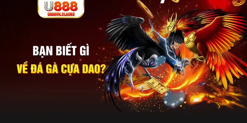 f8bet25 quay thử xổ số miền nam