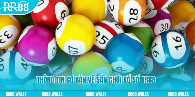 f8bet25 đá gà hôm nay