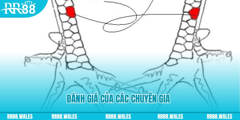 f8bet25 V8 Game Bài 3d