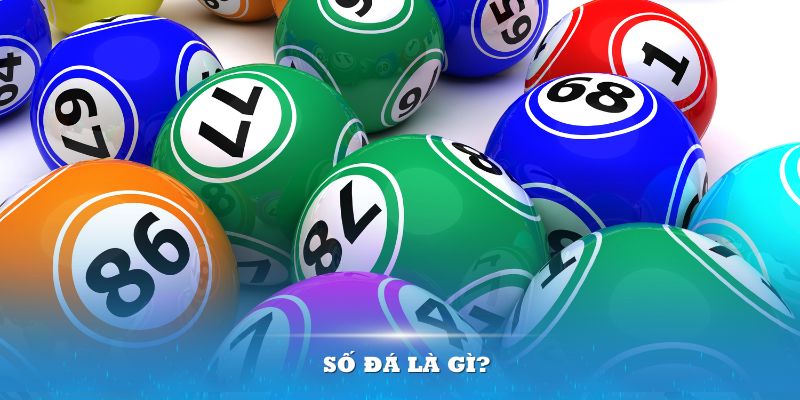f8bet25 AOG Đá Gà