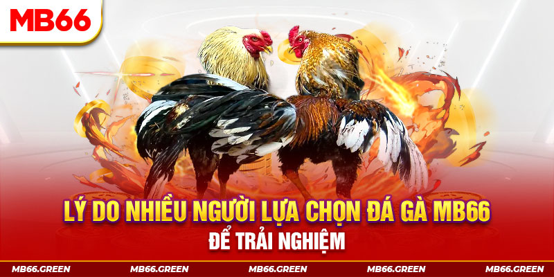 f8bet25 KA Điện Tử