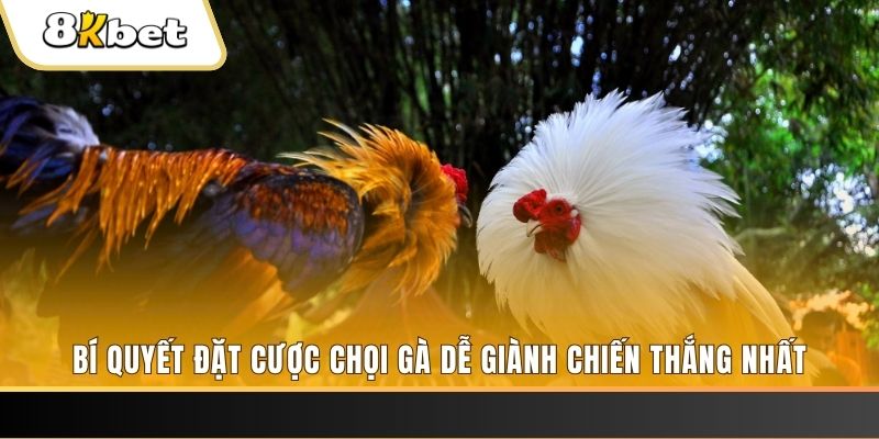 f8bet25 xổ số thứ hai hàng tuần