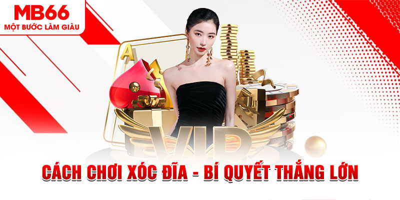 f8bet25 trực tiếp đá gà c1 hôm nay