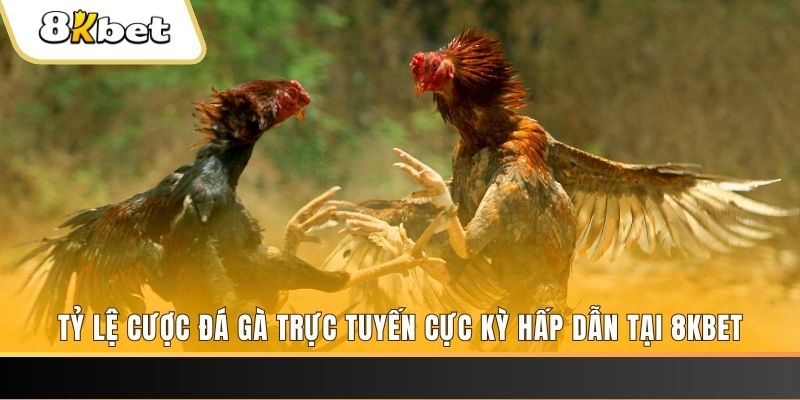 f8bet25 baccarat online bịp như thế nào