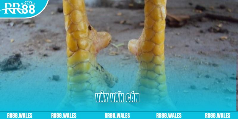 f8bet25 đăng nhập nổ hũ hôm nay