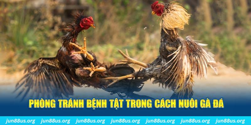 f8bet25 đăng nhập phỏm online