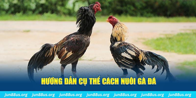 f8bet25 đăng nhập sòng bạc số 1