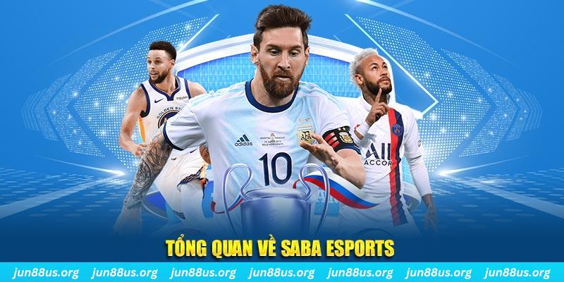f8bet25 kết quả xổ số miền nam