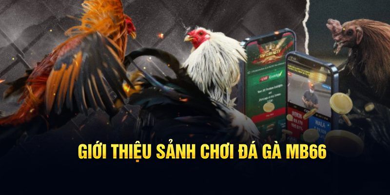 f8bet25 đăng nhập poker hôm nay