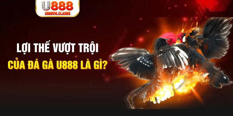f8bet25 168G Điện Tử